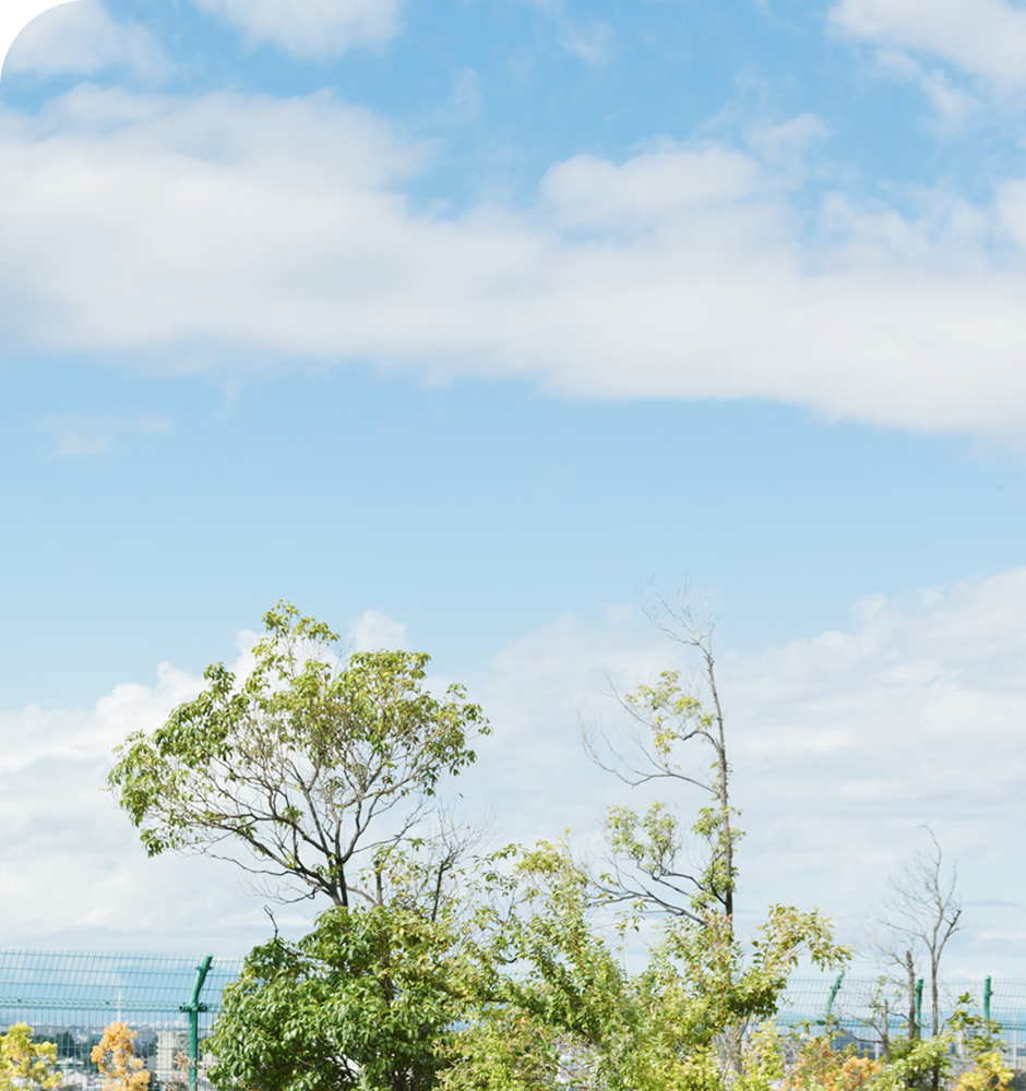 妊娠・出産で閉ざされたキャリア。<br>そこから始まった支援への道